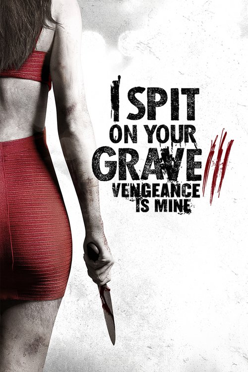DVD Cover for I Spit on Your Grave 3